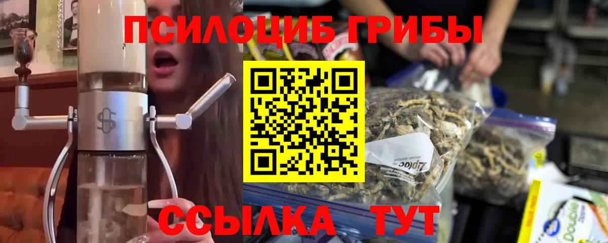 Псилоцибиновые грибы прущие грибы Луховицы